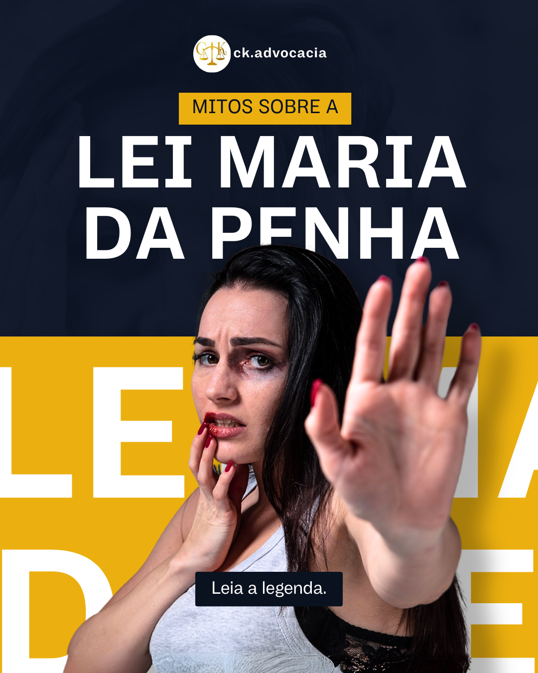A Lei Maria da Penha (Lei nº 11.340/2006)